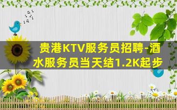 贵港KTV服务员招聘-酒水服务员当天结1.2K起步